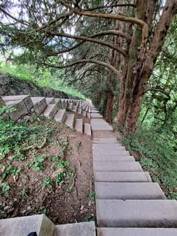 Escalier des géants 1300 marches jusqu’à la plate-forme